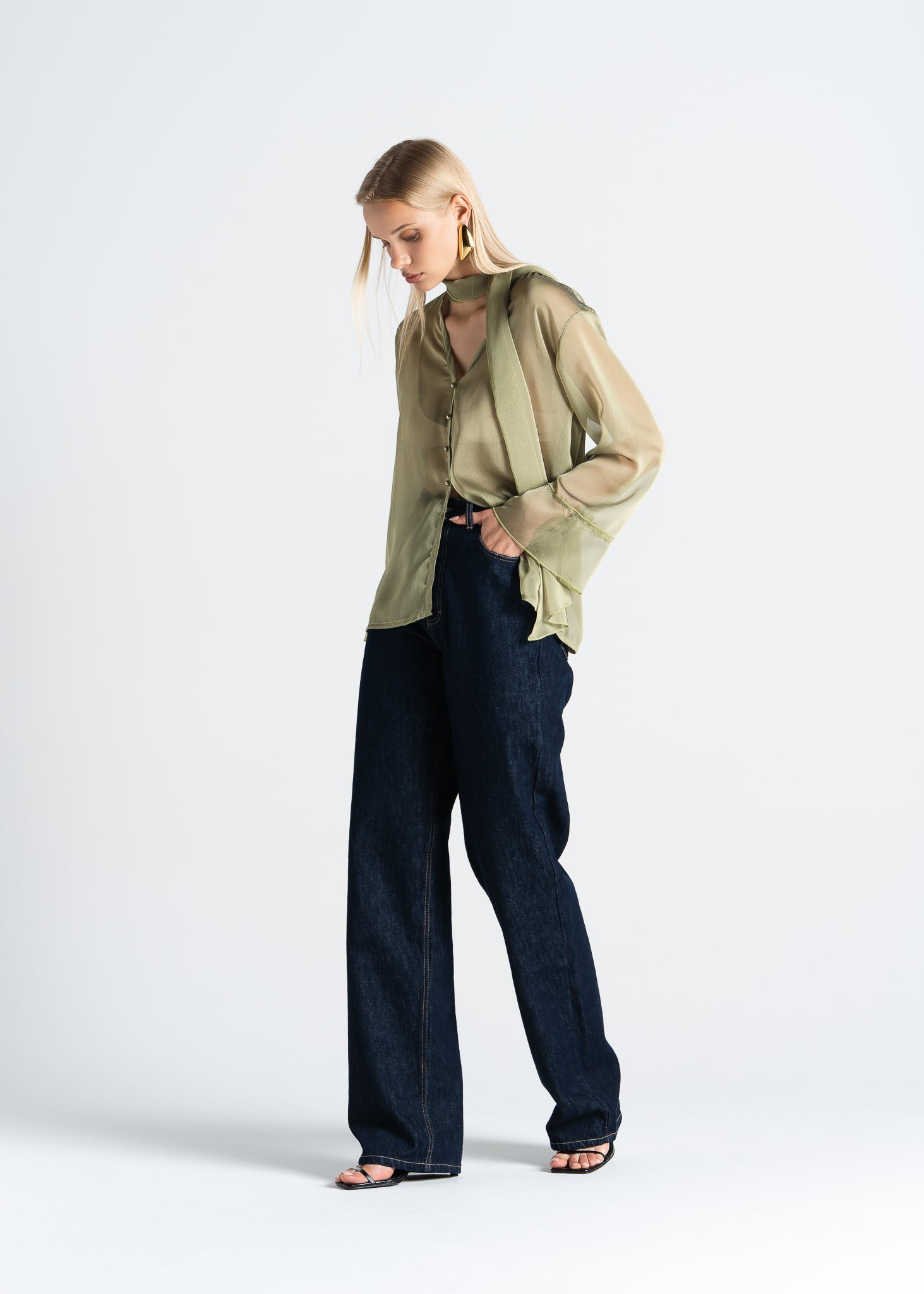 Haze Sheer Button-Up Blouse - Green