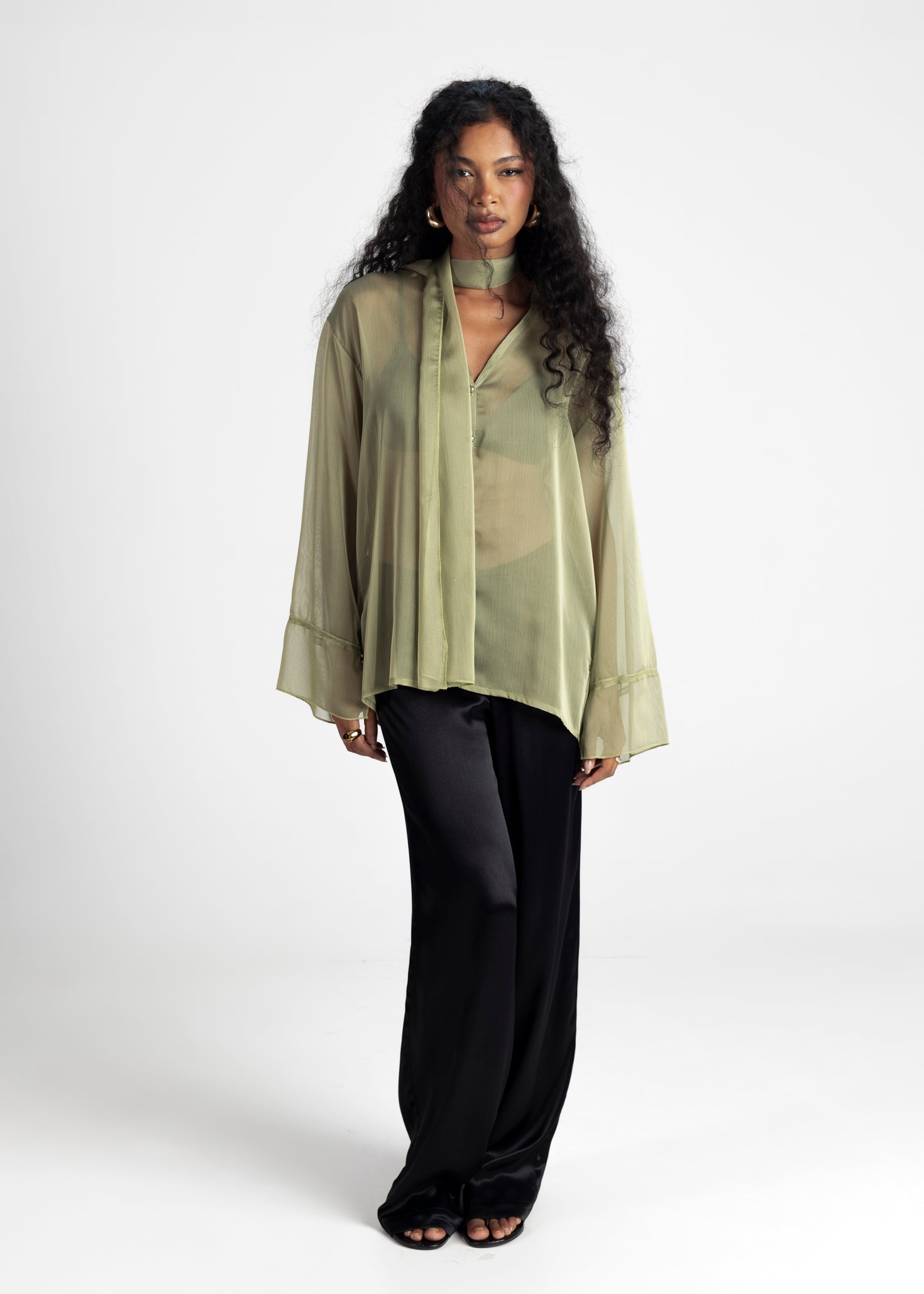 Haze Sheer Button-Up Blouse - Green