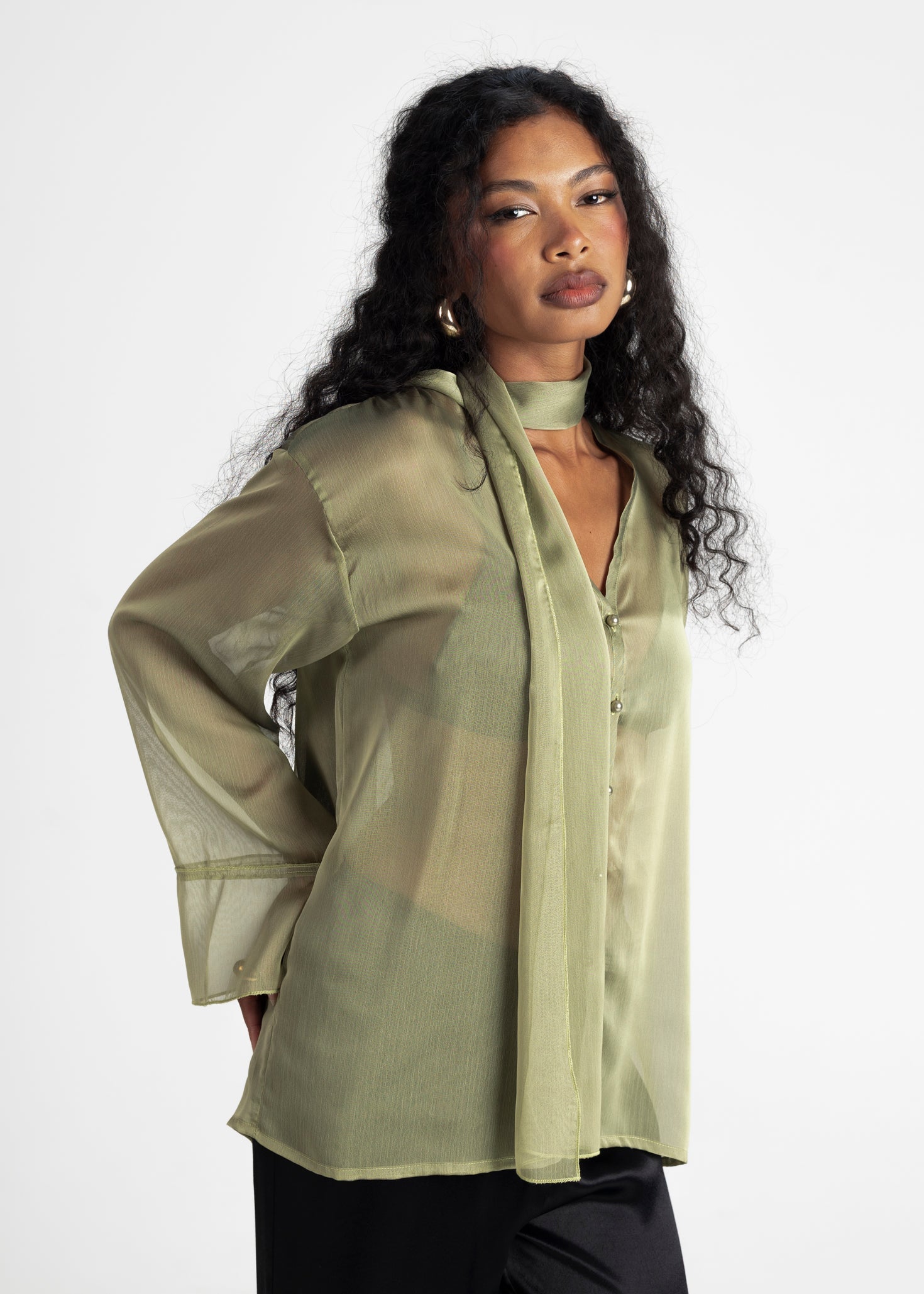 Haze Sheer Button-Up Blouse - Green