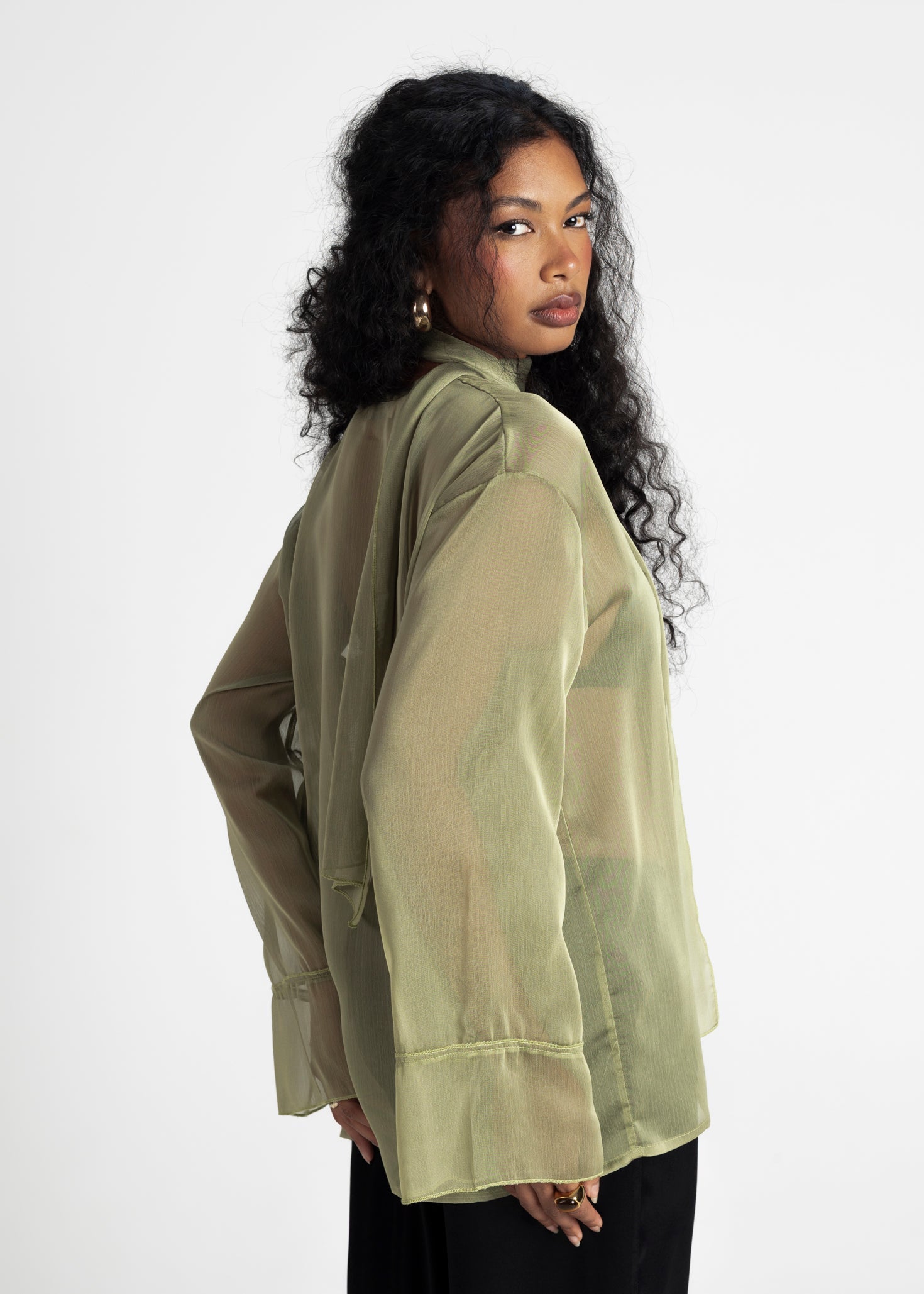 Haze Sheer Button-Up Blouse - Green
