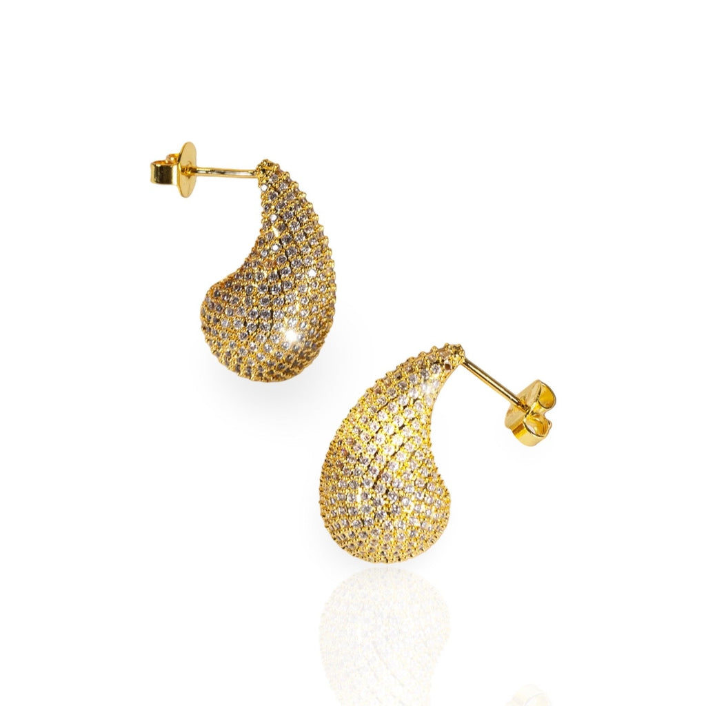 Drop Earrings