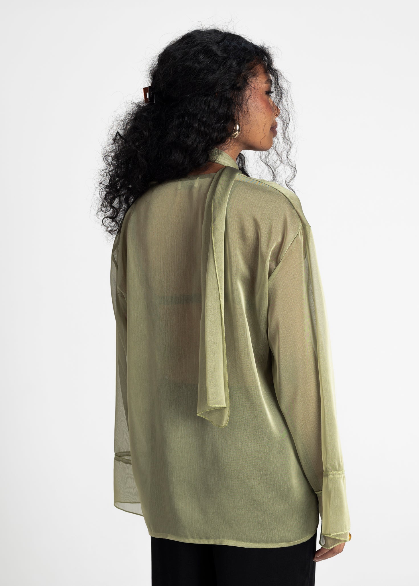 Haze Sheer Button-Up Blouse - Green 