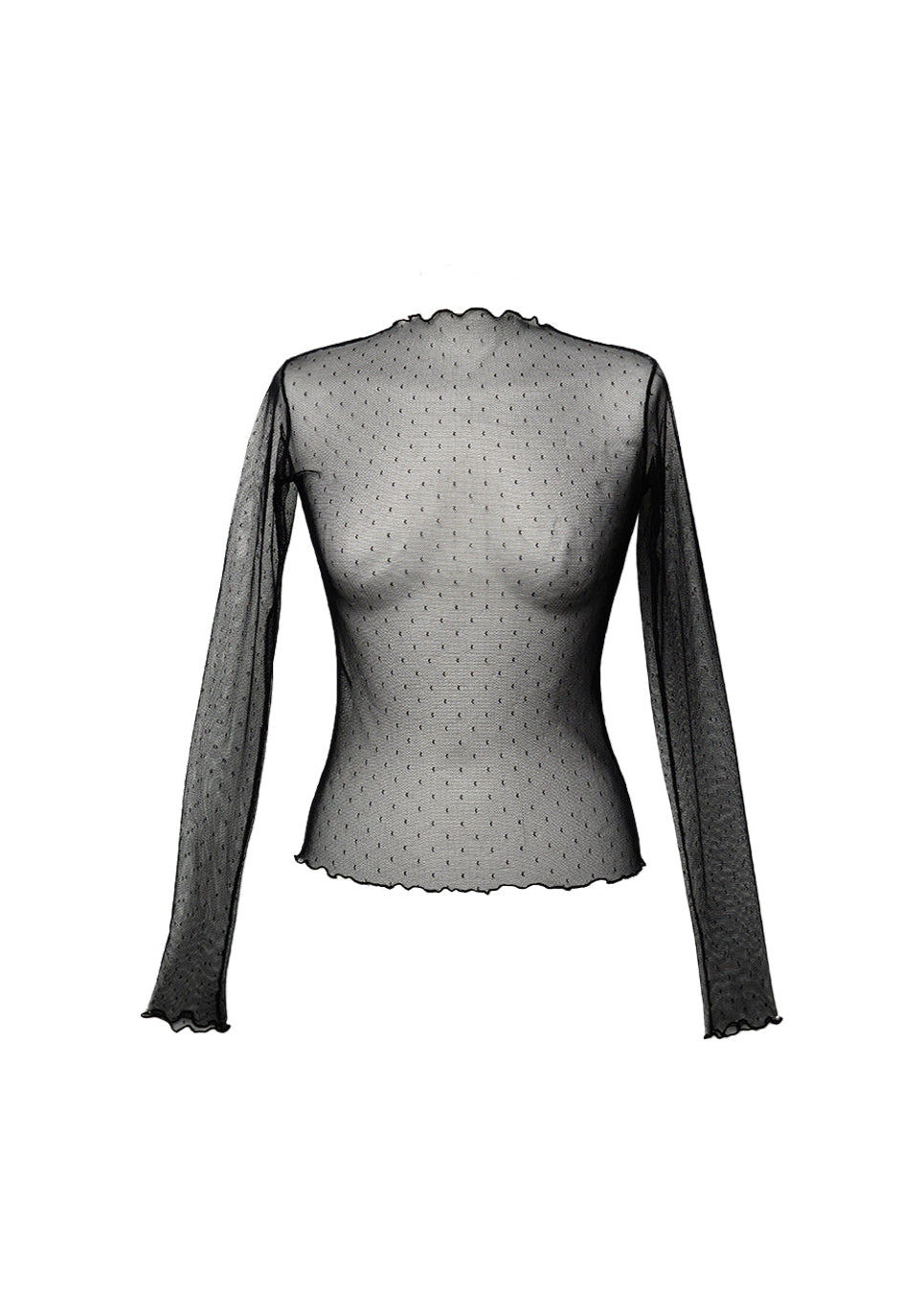 Tasha Sheer Long Sleeve Top 